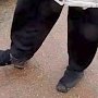 Носки поверх обуви или как серийный грабитель в Крыму «погорел» перед инспекторами ДПС